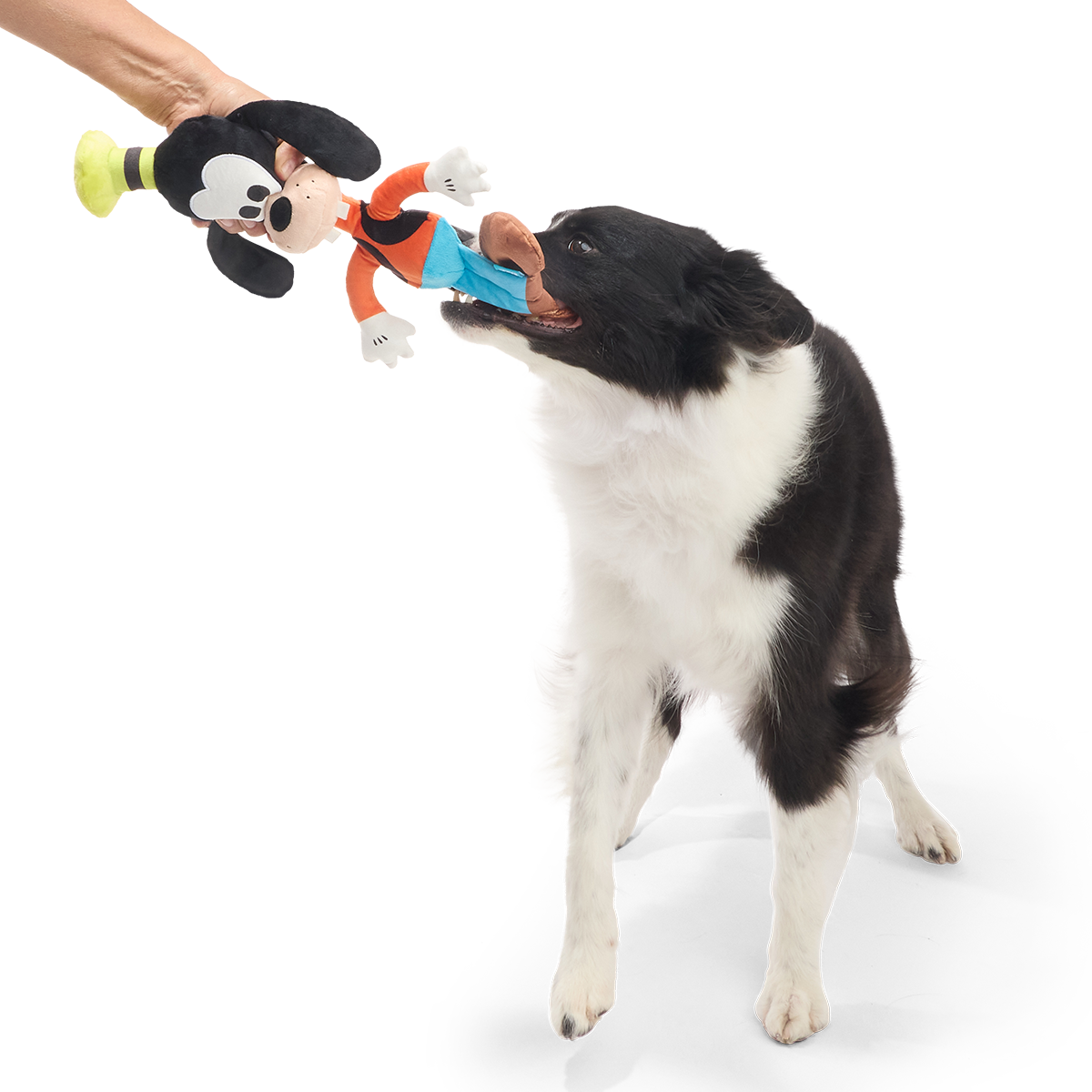 Ginormous Goofy Plush Extra-Large + Tug Dog Toy