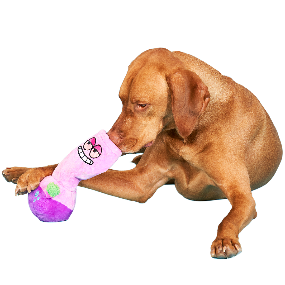 Give A Dog A Bong Plush Enrichment Dog Toy