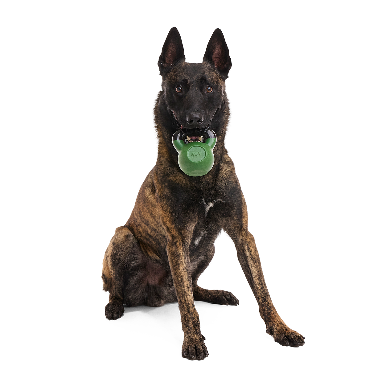 Gnawflex Kettlebell Super Chewer Durable Gnaw Dog Toy