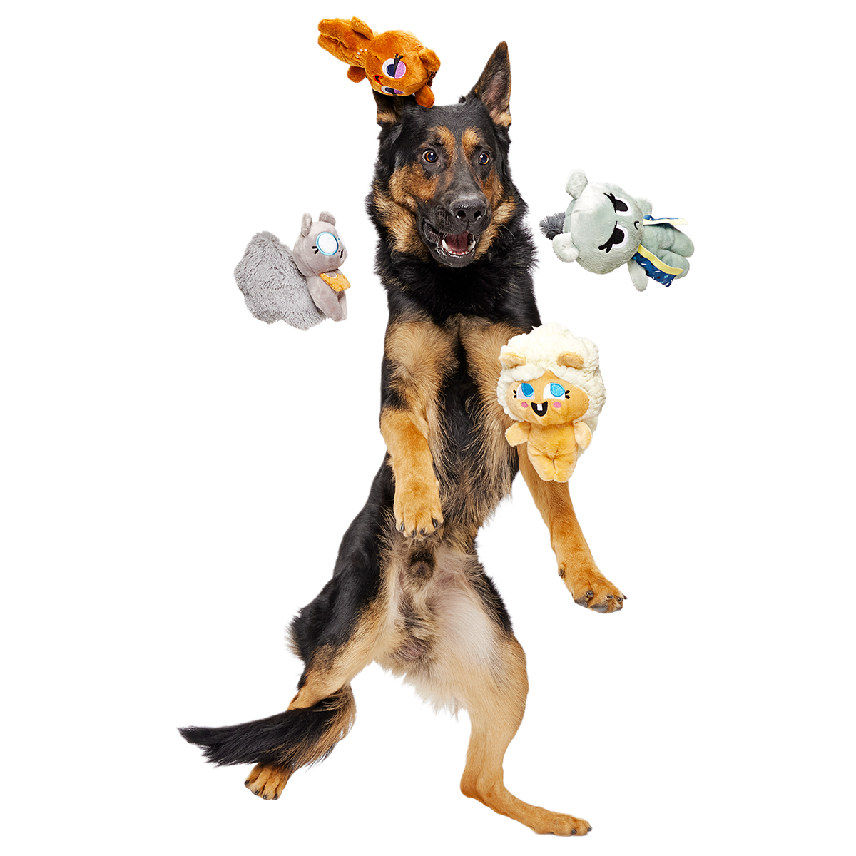 Golden Squirrels Plush Multi-Part Dog Toy