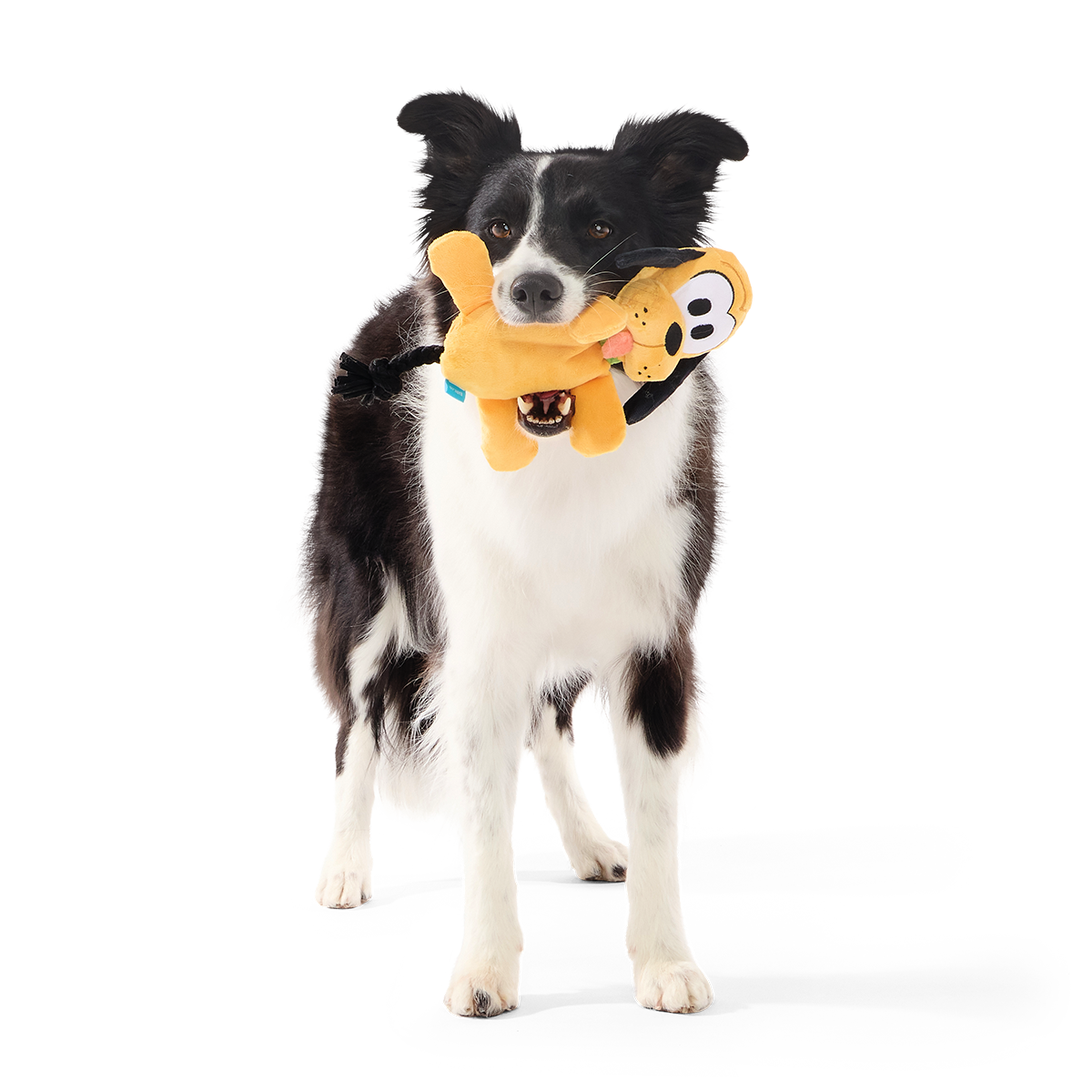Good Boy Pluto Plush Tug Dog Toy
