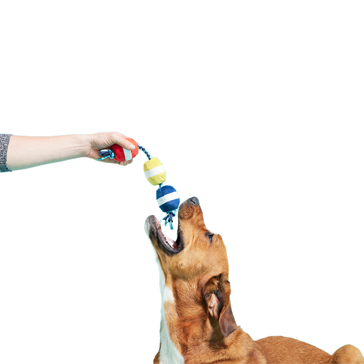 Good Buoys Plush Tug Dog Toy