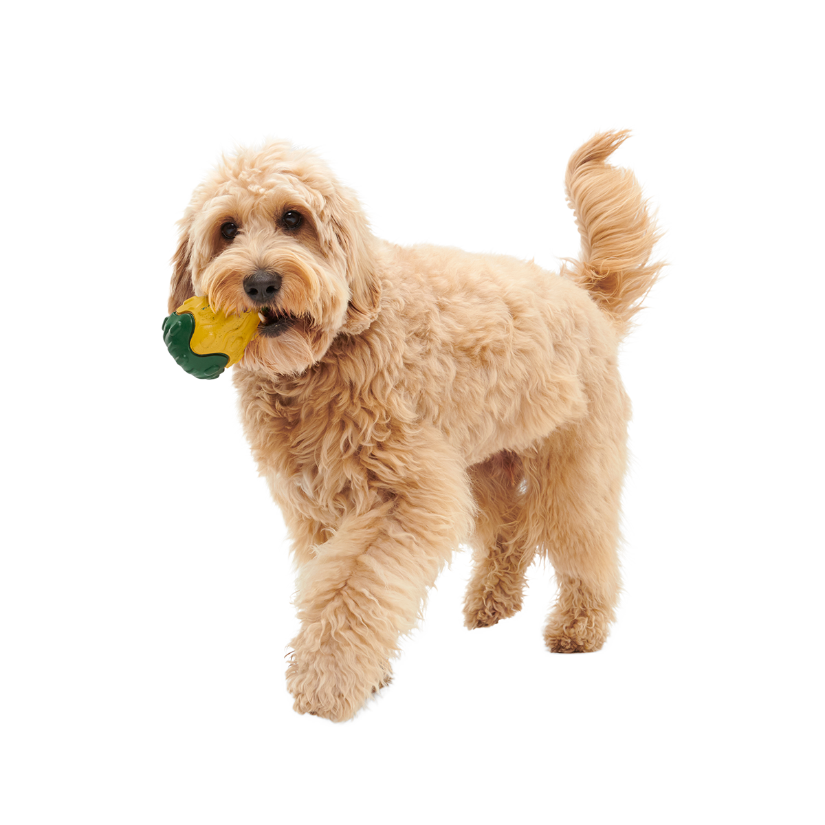 Good Gourd Gnaw Mighty Super Chewer Durable Dog Toy