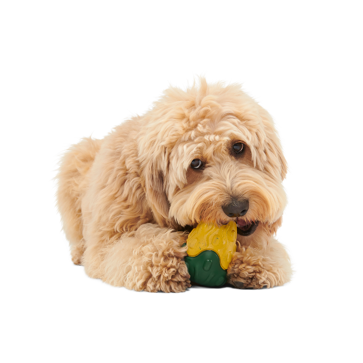 Good Gourd Gnaw Mighty Super Chewer Durable Dog Toy