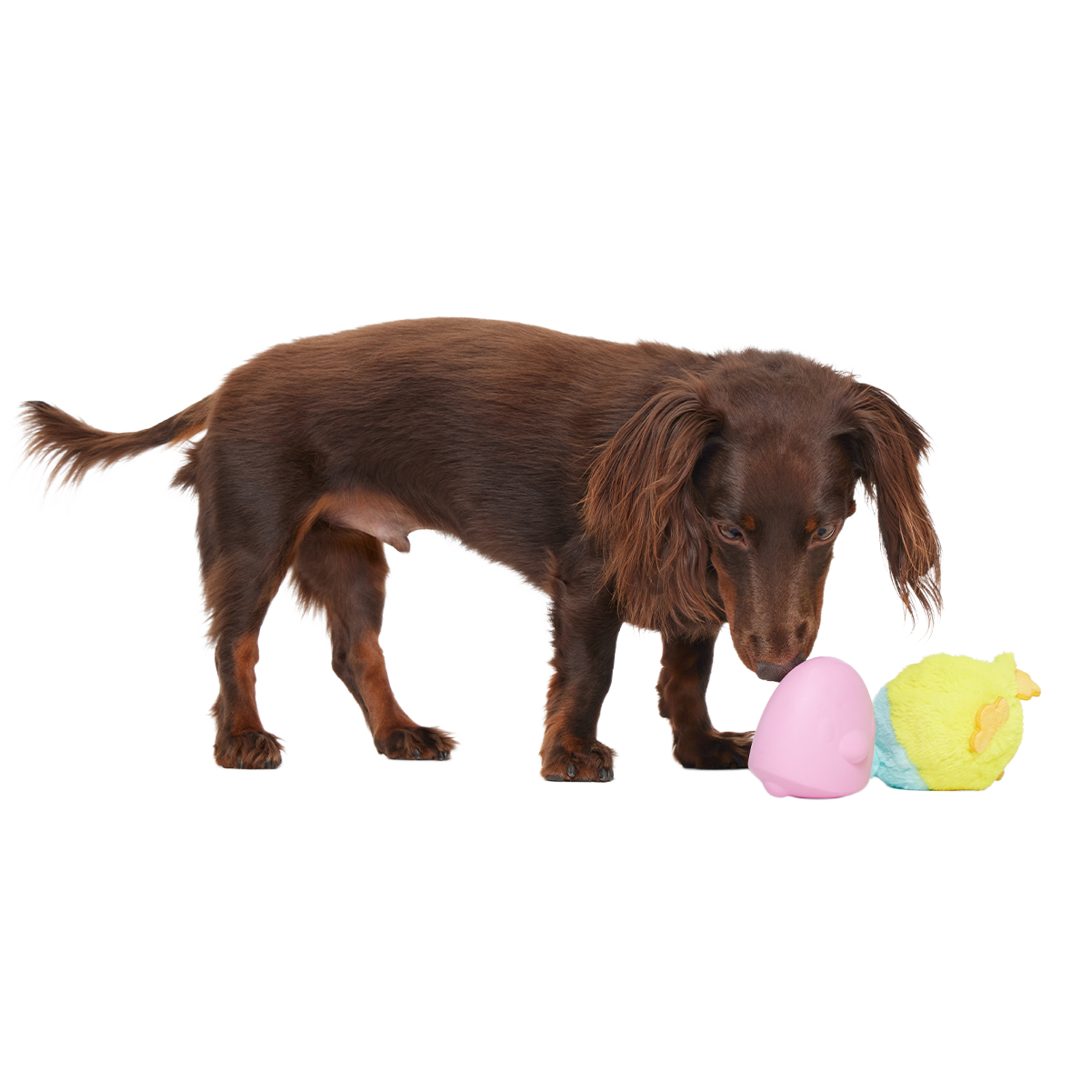Good Hare Day Chick Super Chewer Durable 2-in-1 + Tug Dog Toy