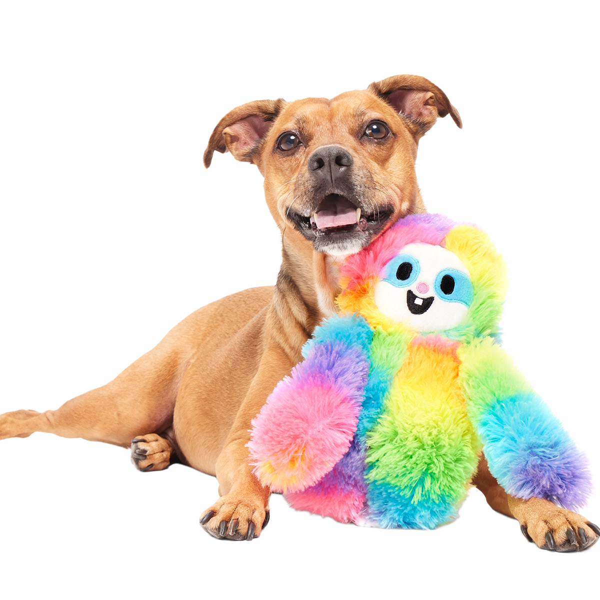 Good Vibes Gary Plush Tug Dog Toy