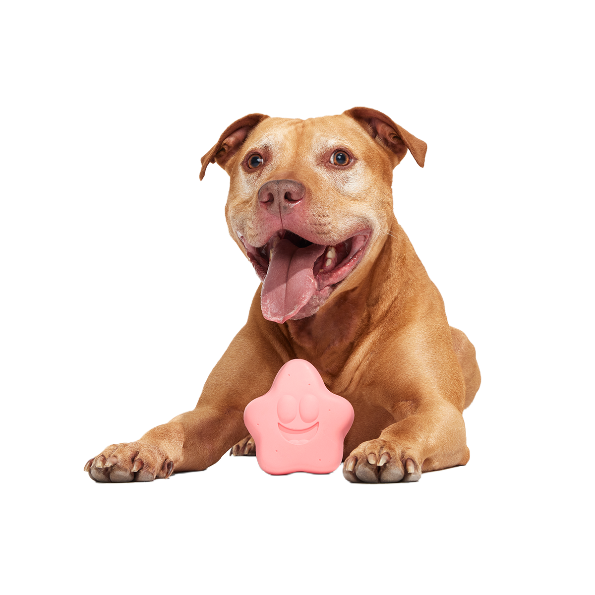 Goofy Goober Patrick Super Chewer Durable Fetch Dog Toy