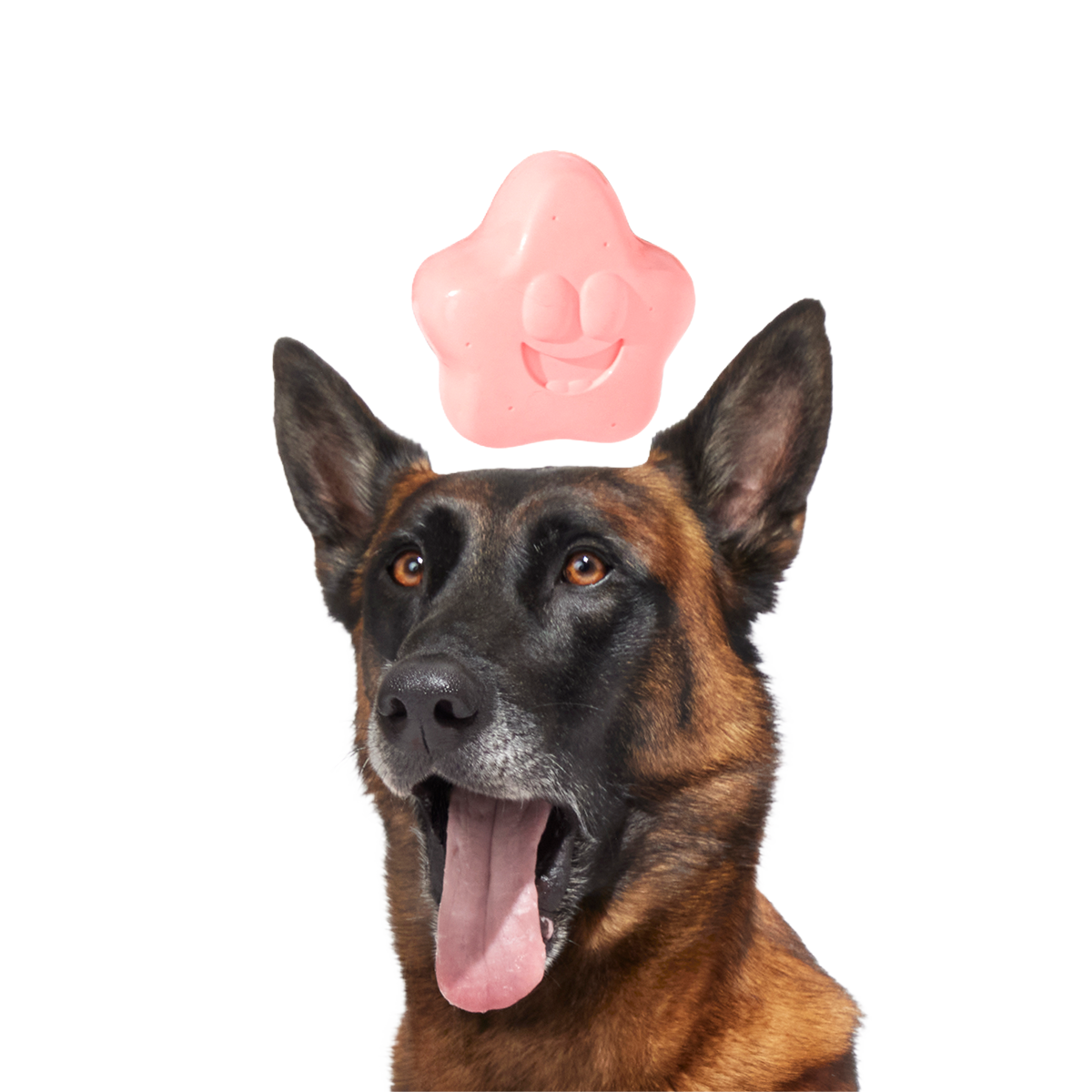 Goofy Goober Patrick Super Chewer Durable Fetch Dog Toy