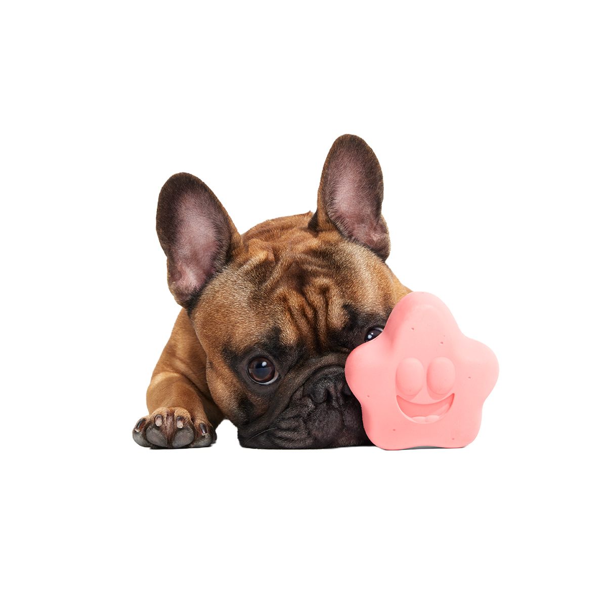 Goofy Goober Patrick Super Chewer Durable Fetch Dog Toy