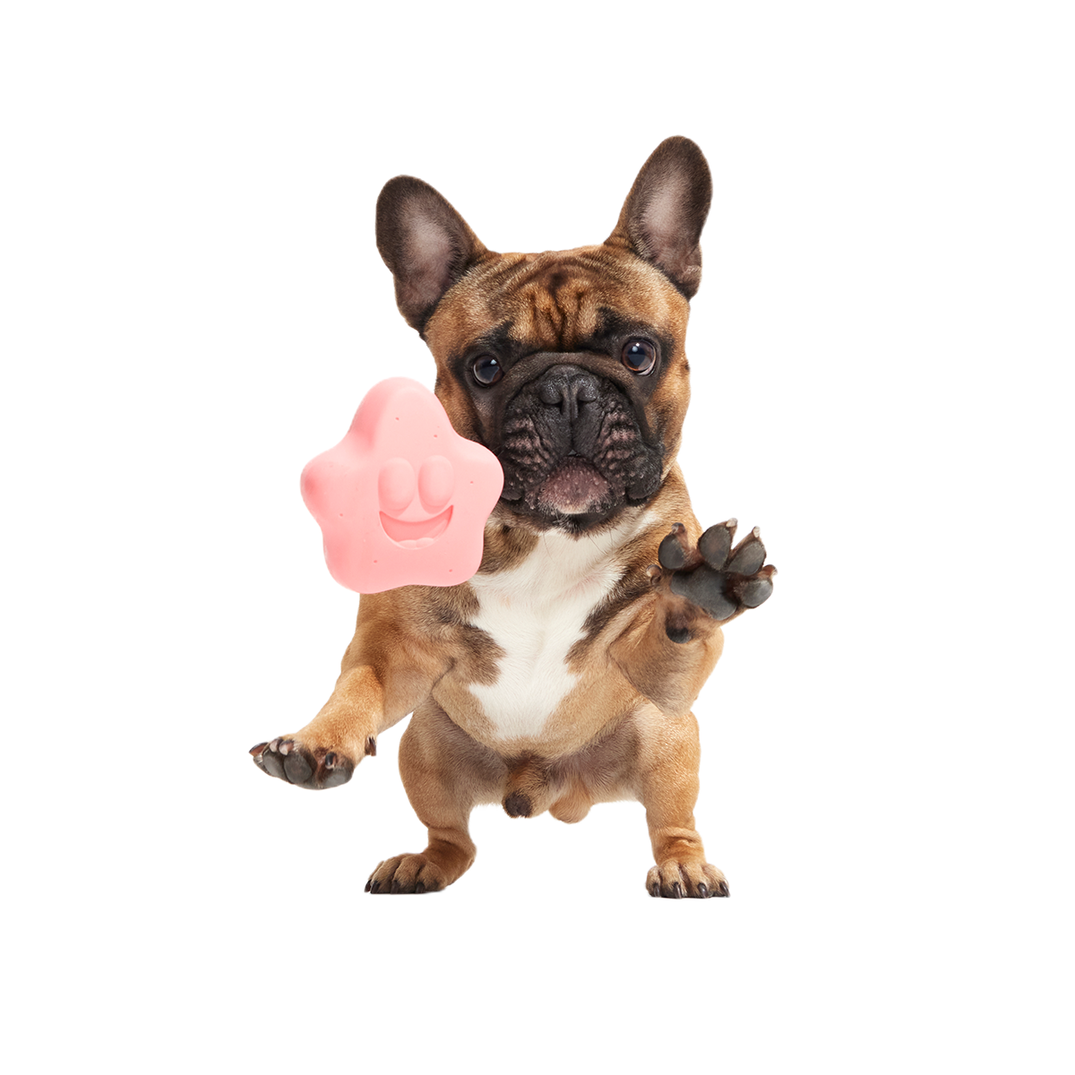 Goofy Goober Patrick Super Chewer Durable Fetch Dog Toy