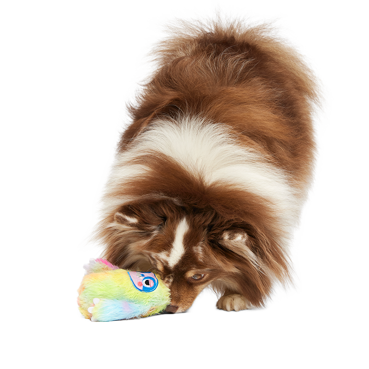 Grateful Ted Super Chewer Durable 2-in-1 + Tug Dog Toy