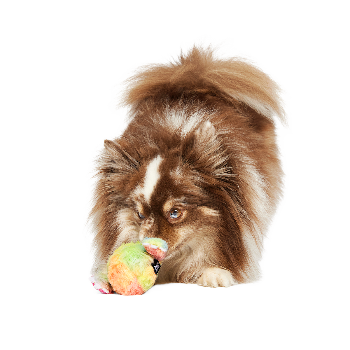 Grateful Ted Super Chewer Durable 2-in-1 + Tug Dog Toy