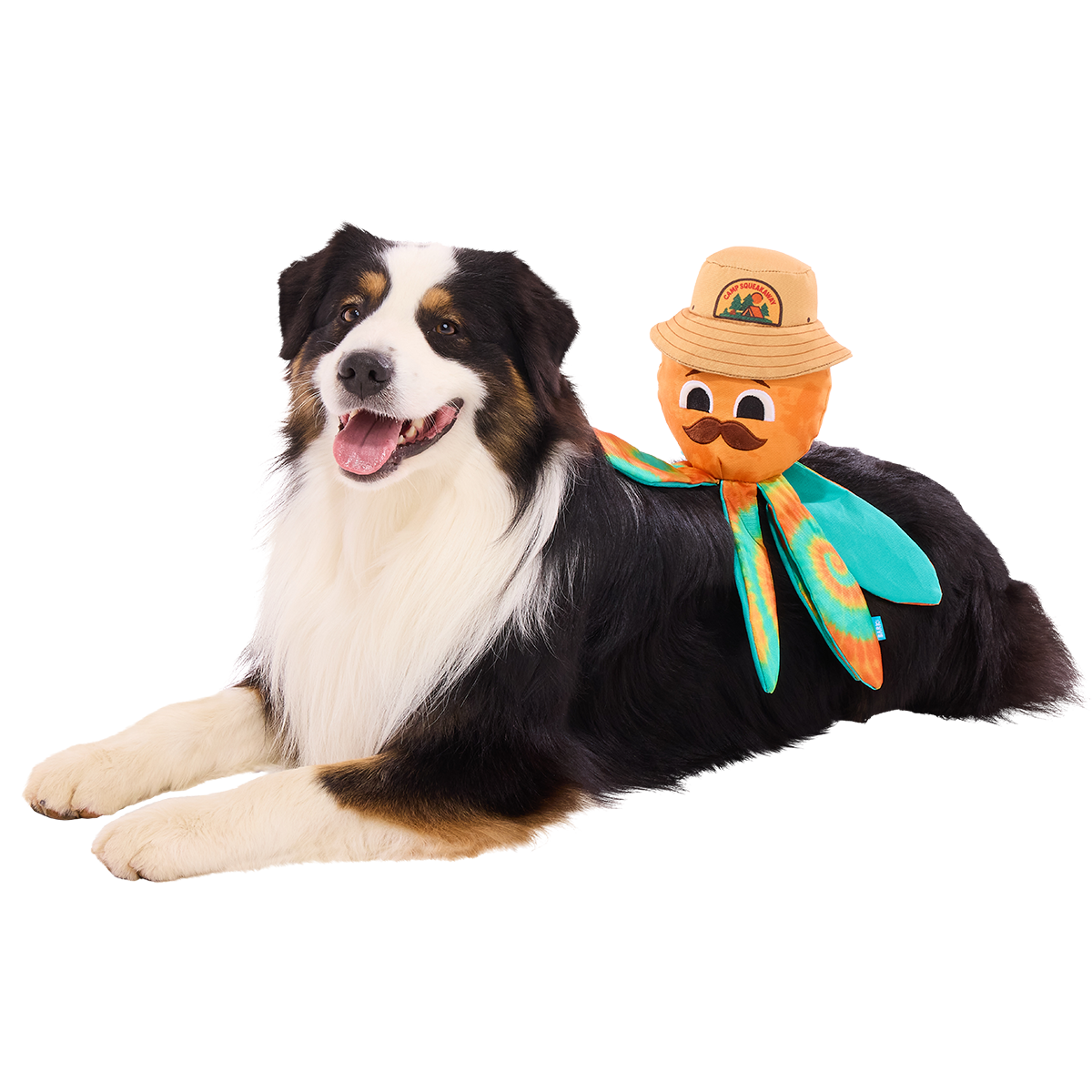 Ollie the Octopus Club, Plush Tug Monthly Dog Toys