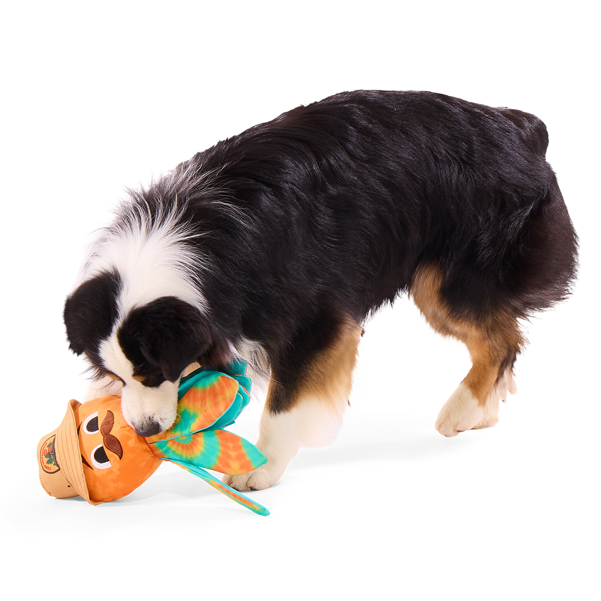 Ollie the Octopus Club, Plush Tug Monthly Dog Toys