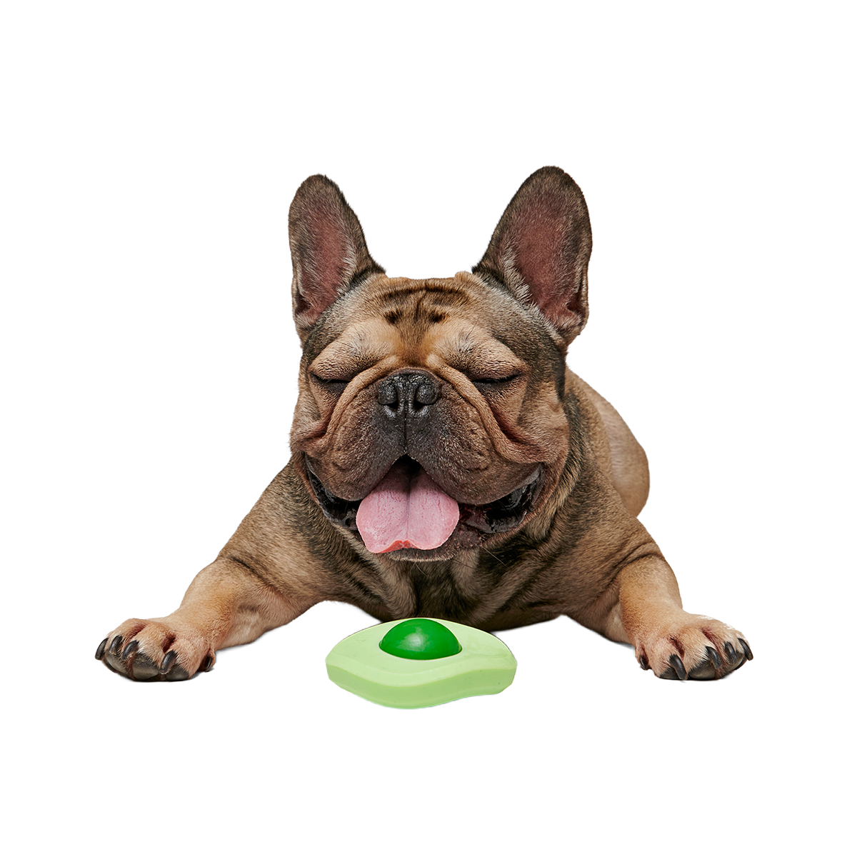 Green Egg Super Chewer Durable Gnaw Dog Toy