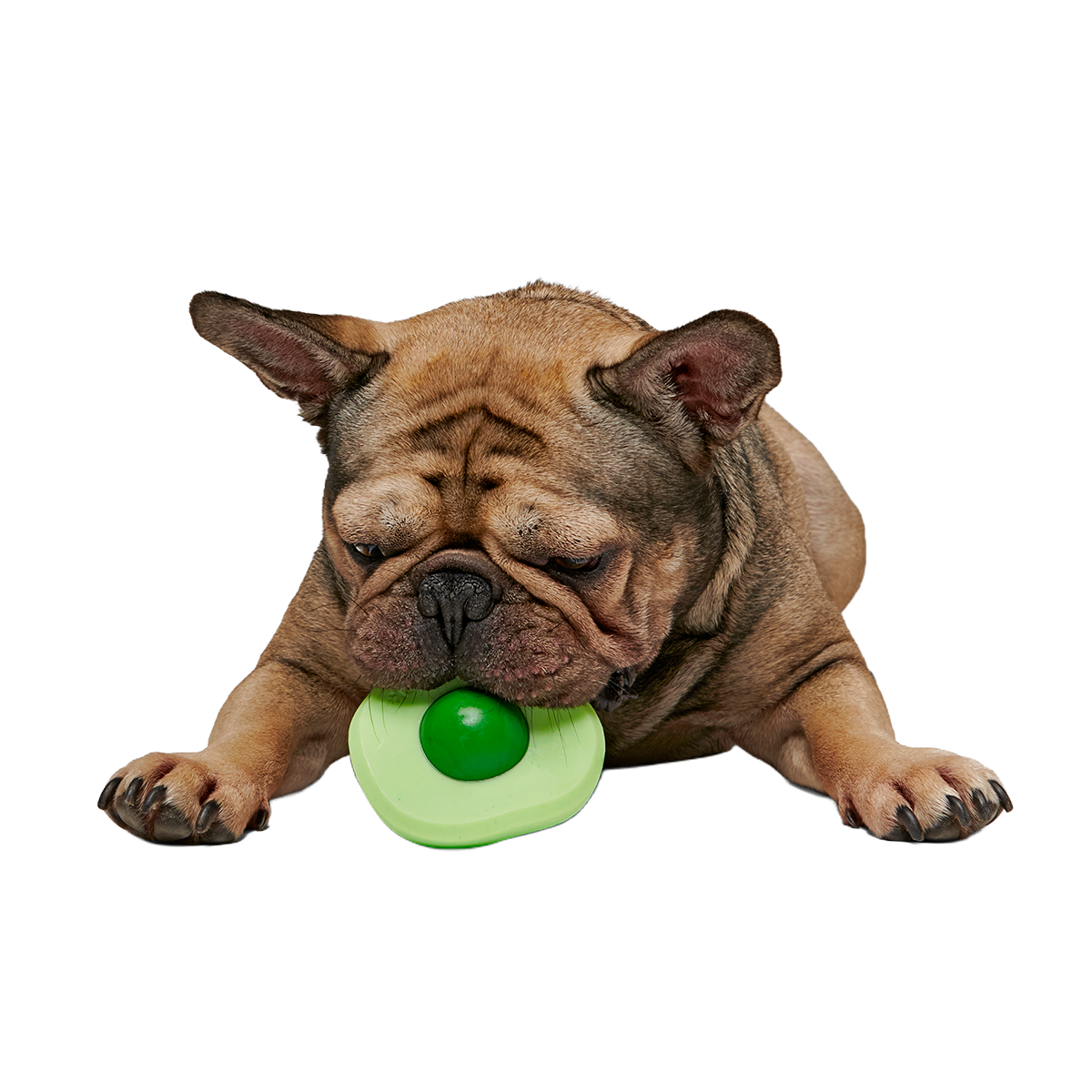 Green Egg Super Chewer Durable Gnaw Dog Toy