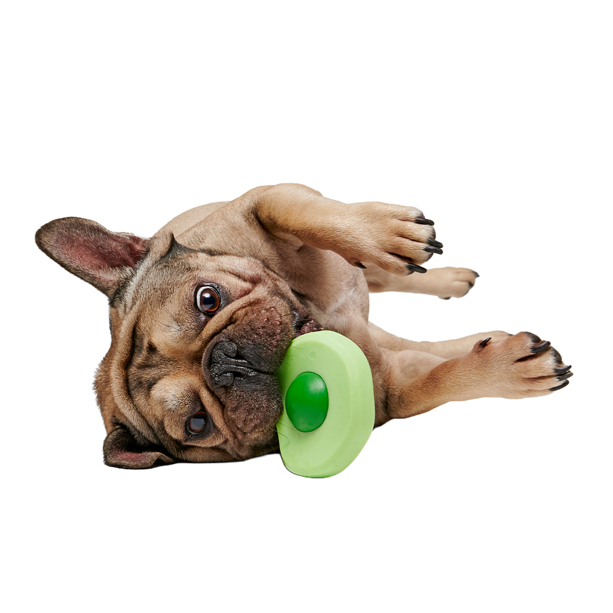 Green Egg Super Chewer Durable Gnaw Dog Toy