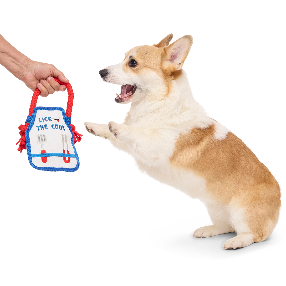Grrrill Champ Apron Plush Tug + Wearable Dog Toy