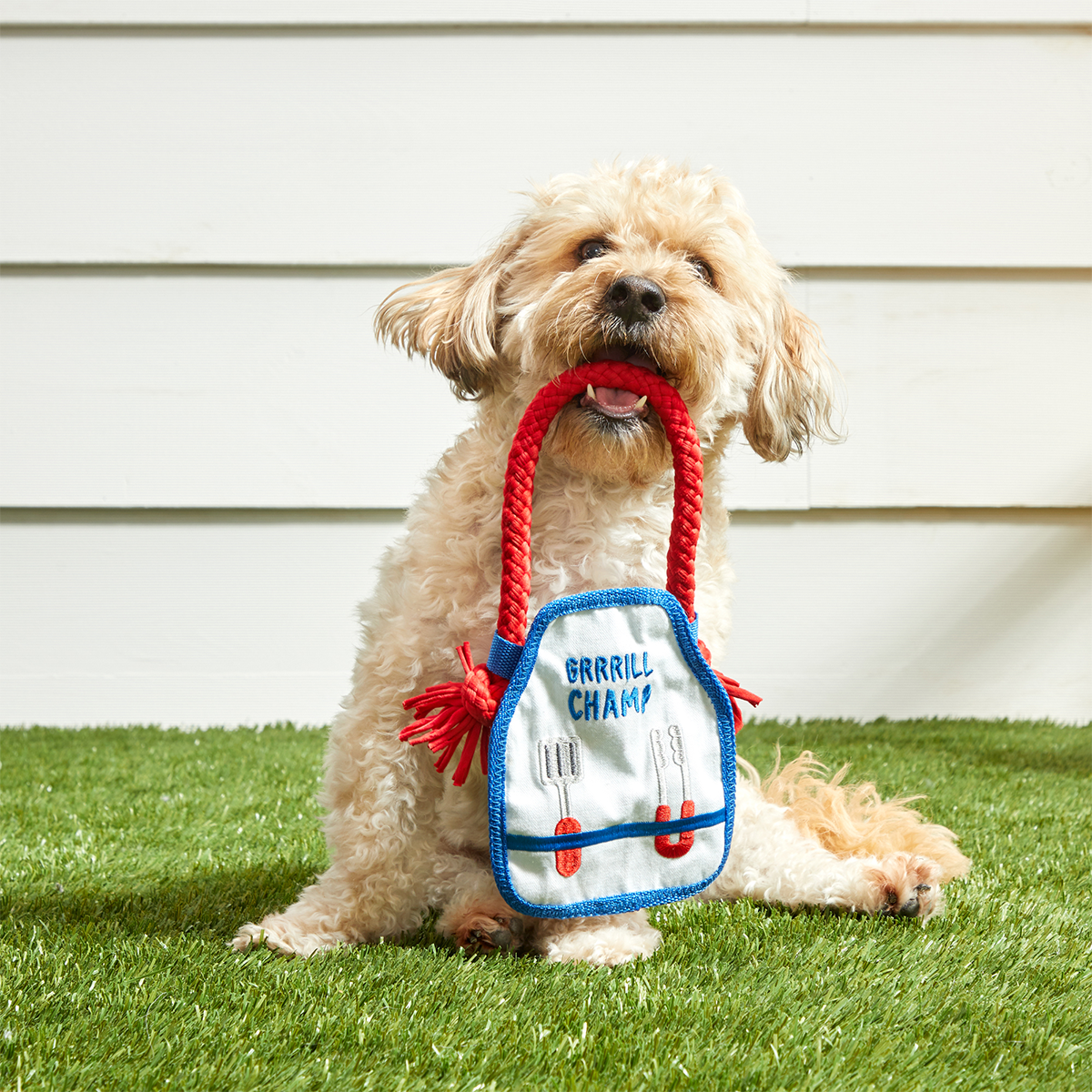Grrrill Champ Apron Plush Tug + Wearable Dog Toy