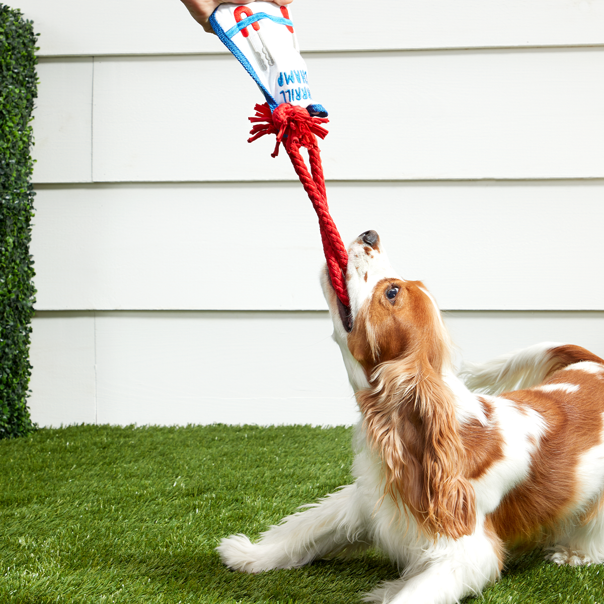 Grrrill Champ Apron Plush Tug + Wearable Dog Toy
