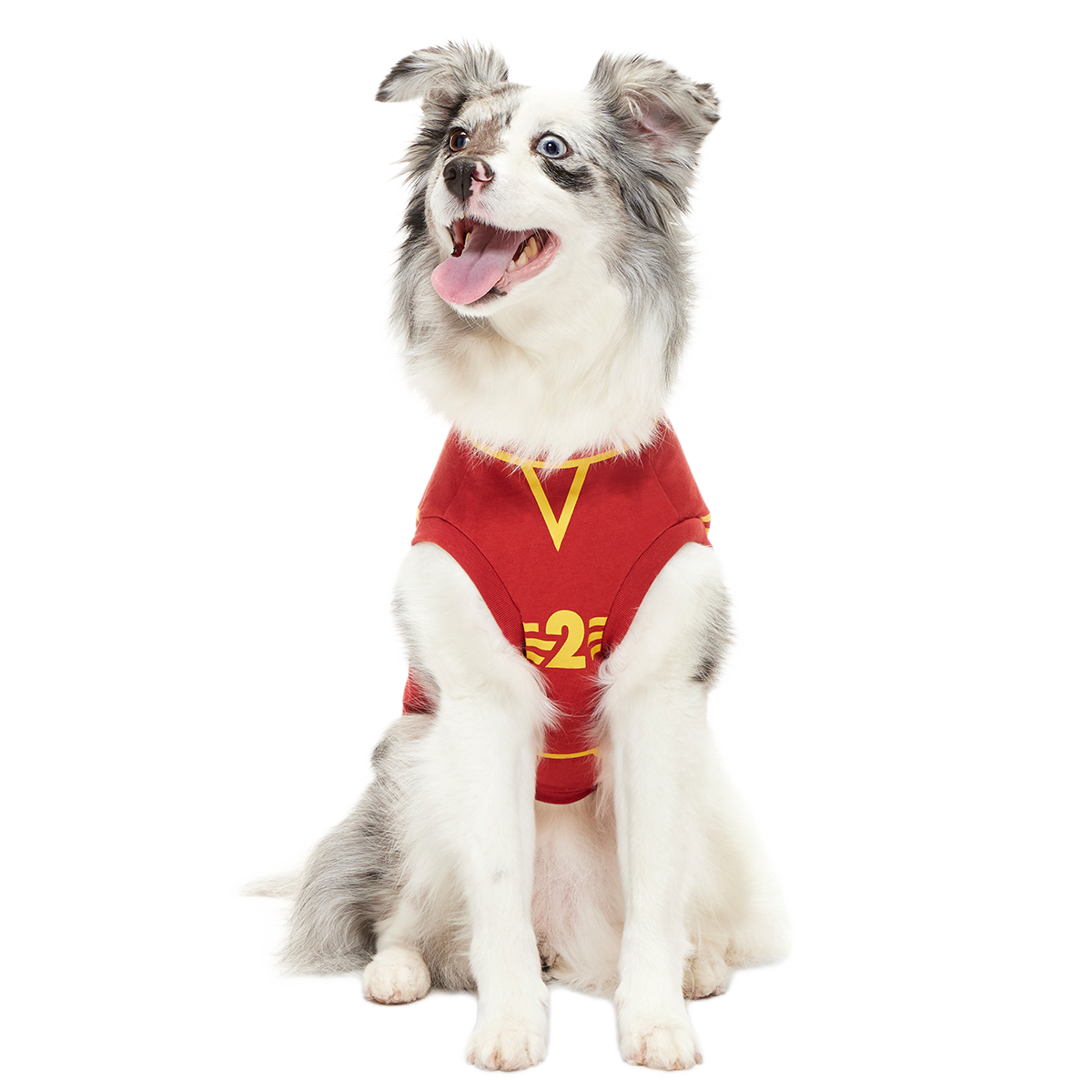 Quidditch™ Jersey#Style_Gryffindor™