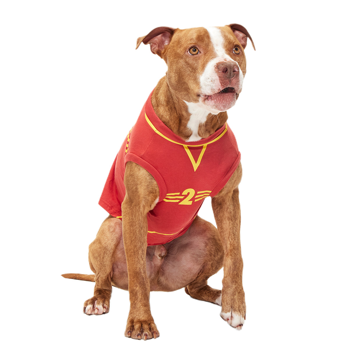 Quidditch™ Jersey#Style_Gryffindor™