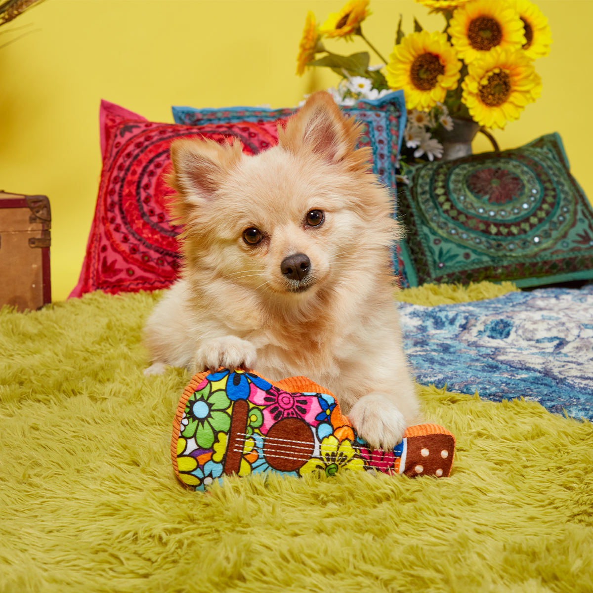 Guitar Licks Plush Tug Dog Toy