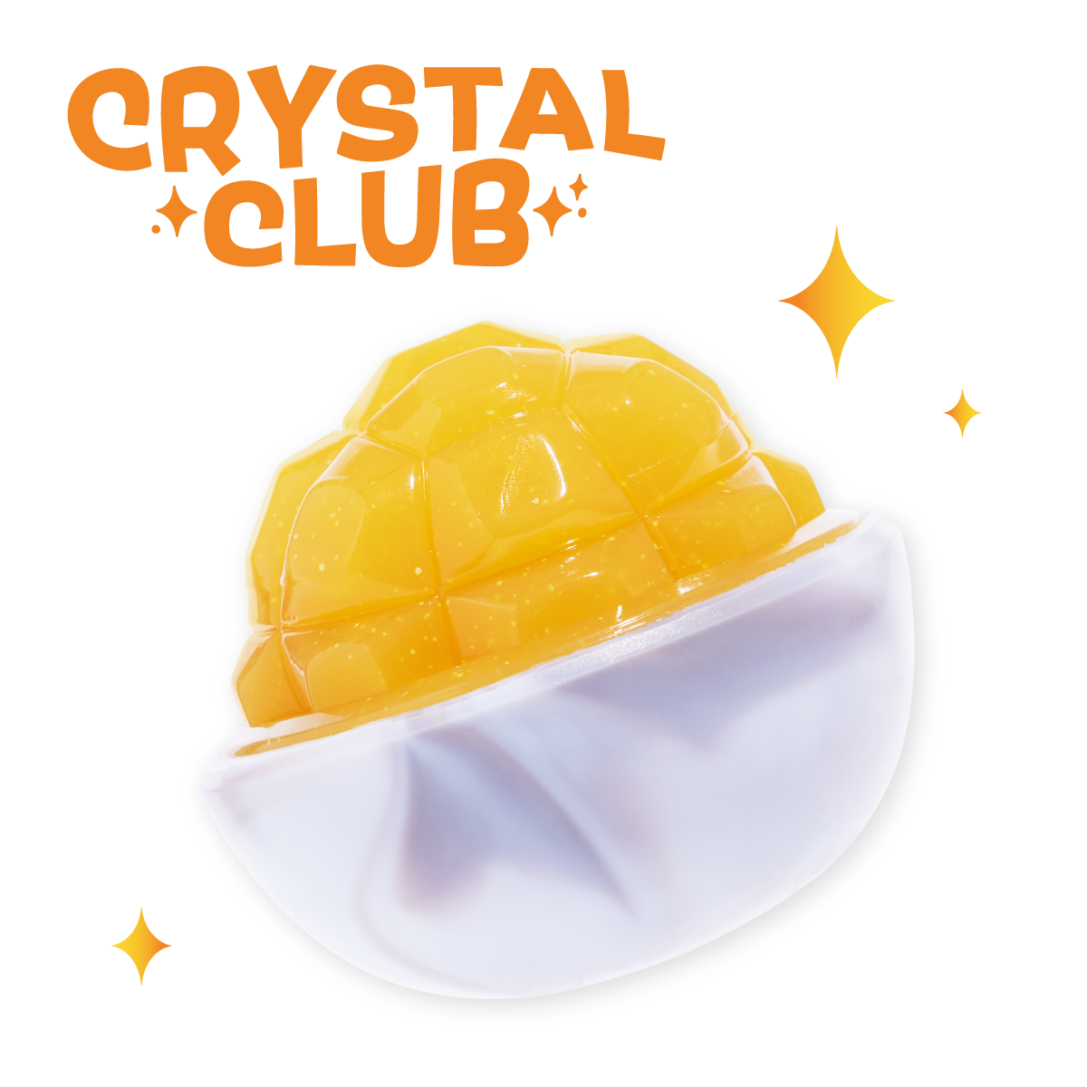 Crystal of the Month Club, Super Chewer Durable Monthly Dog Toys