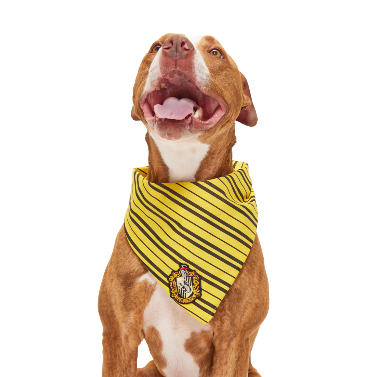 HARRY POTTER™ House Bandana#Style_Hufflepuff™ Bandana