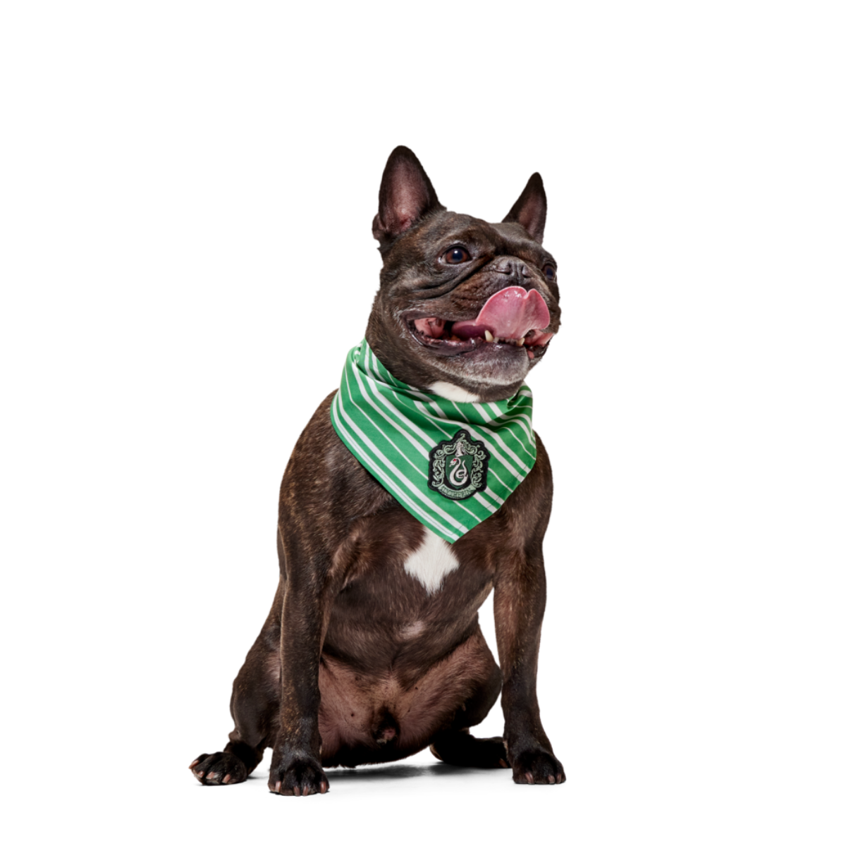 HARRY POTTER™ House Bandana#Style_Slytherin™ Bandana