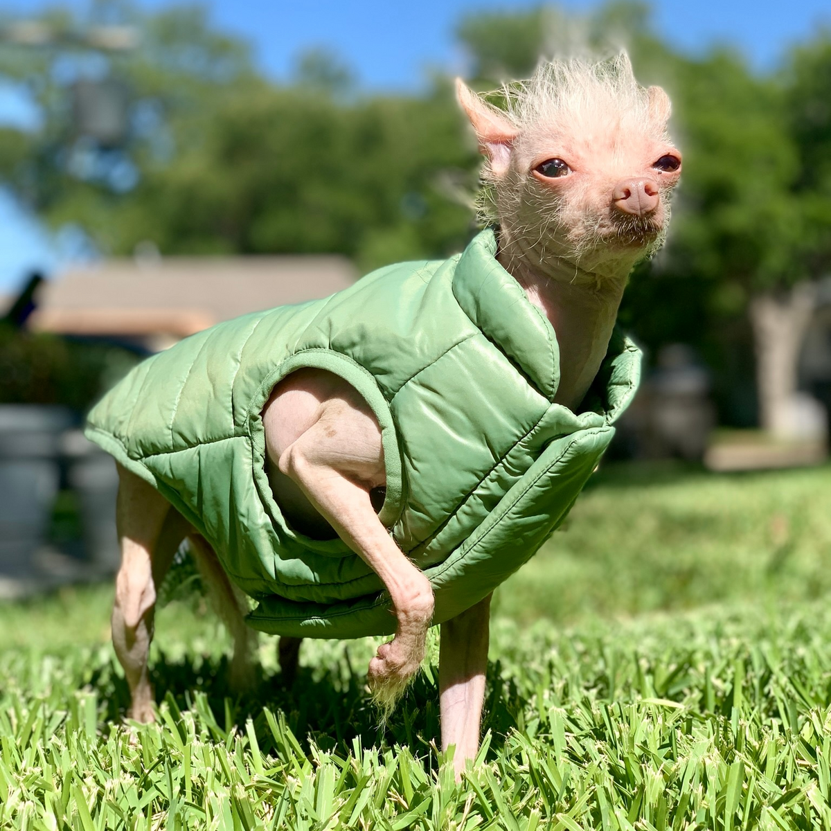 Puffer Vest Green