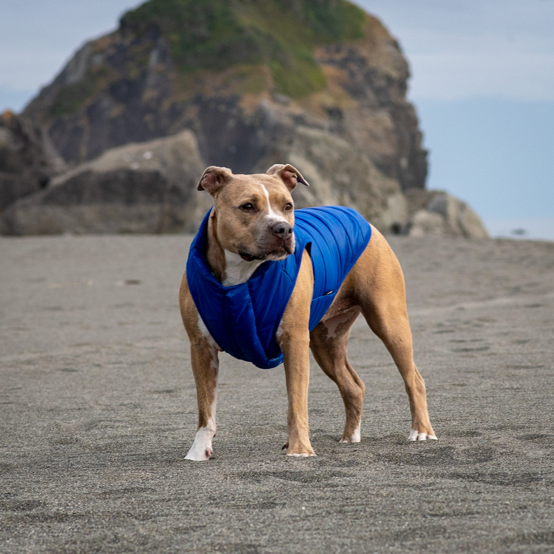 Puffer Vest Cobalt