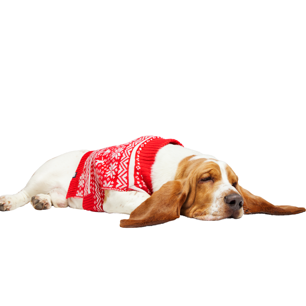 HOME-ATB_211121_REINDEER-SWEATER-L_2061_cropped#Size_M