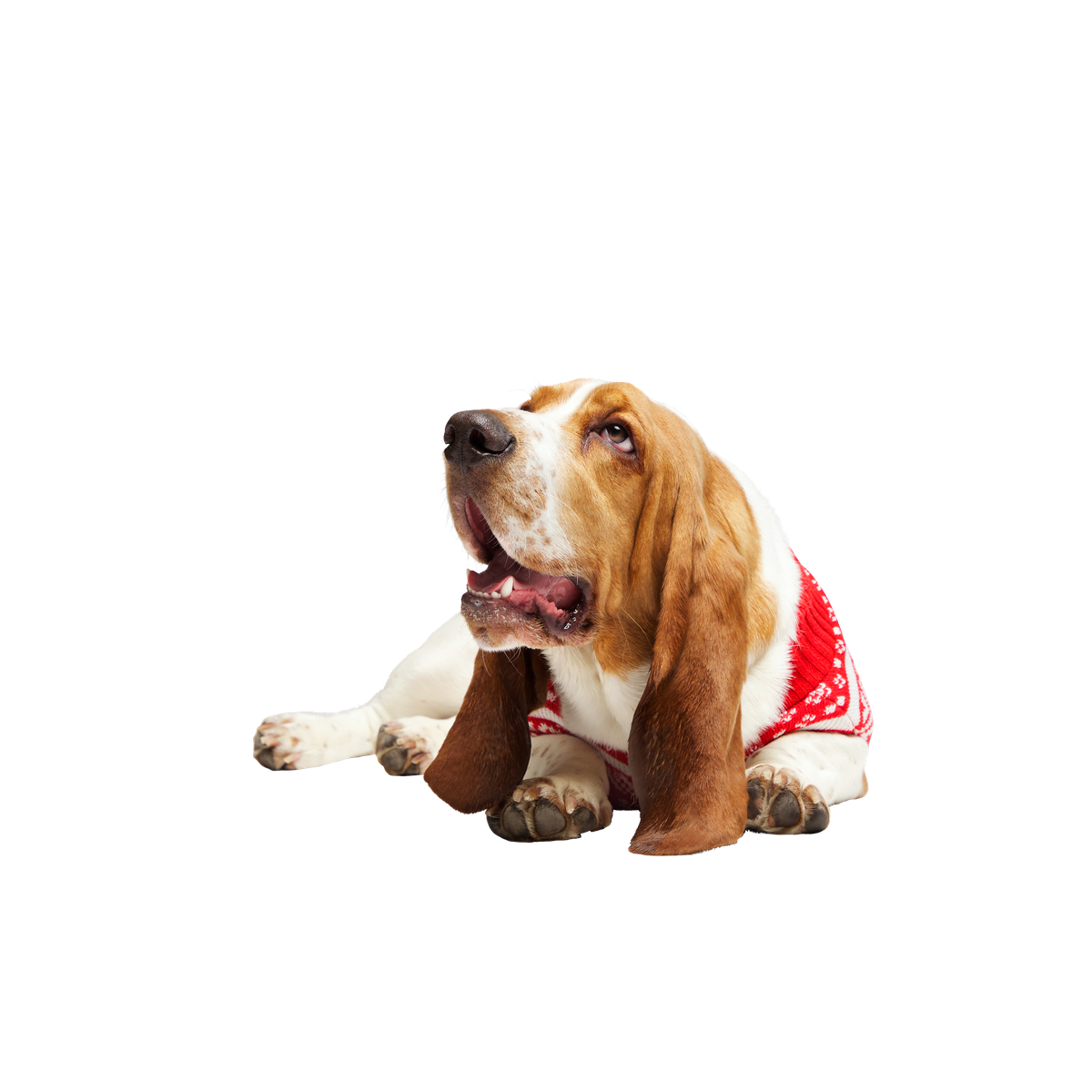 HOME-ATB_211121_REINDEER-SWEATER-L_2077_cropped#Size_M