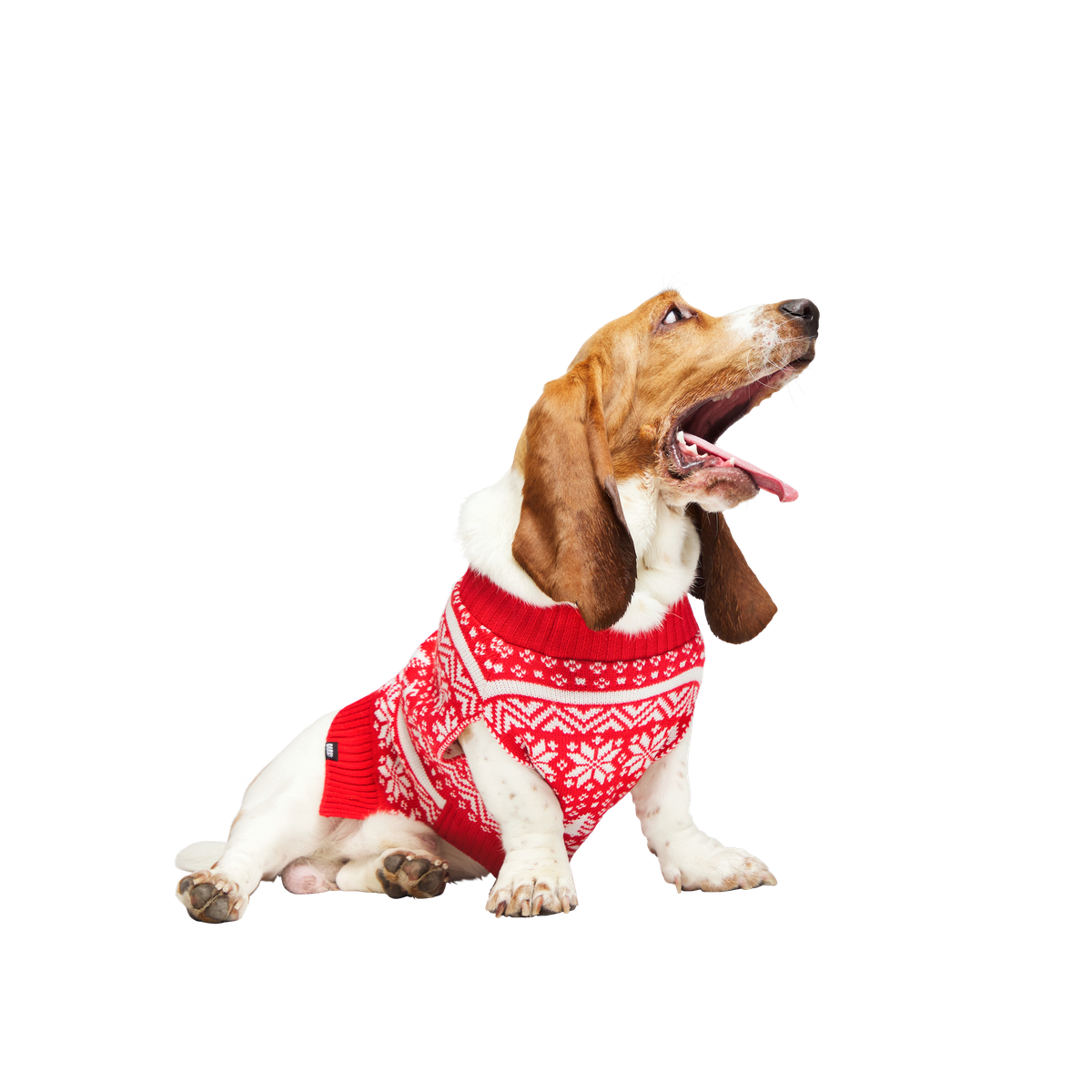 HOME-ATB_211121_REINDEER-SWEATER-L_2087_cropped#Size_M