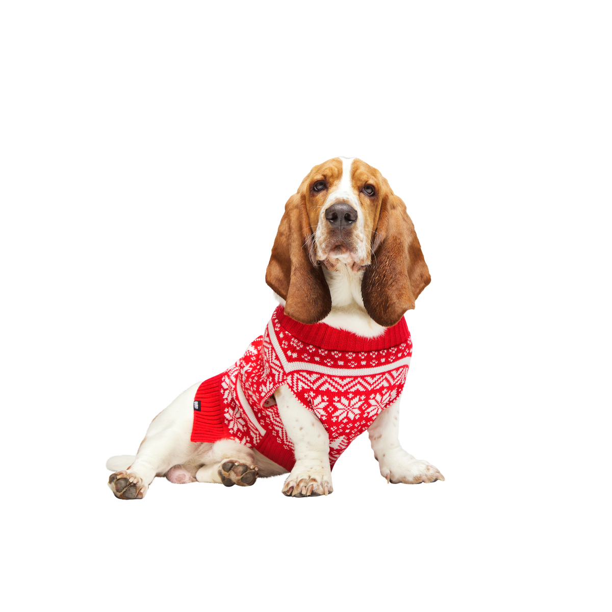 HOME-ATB_211121_REINDEER-SWEATER-L_2096_cropped#Size_M