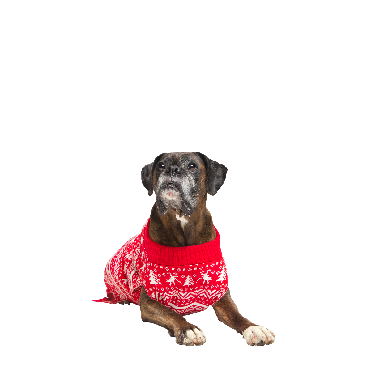 HOME-ATB_211121_REINDEER-SWEATER-L_2532_cropped#Size_L