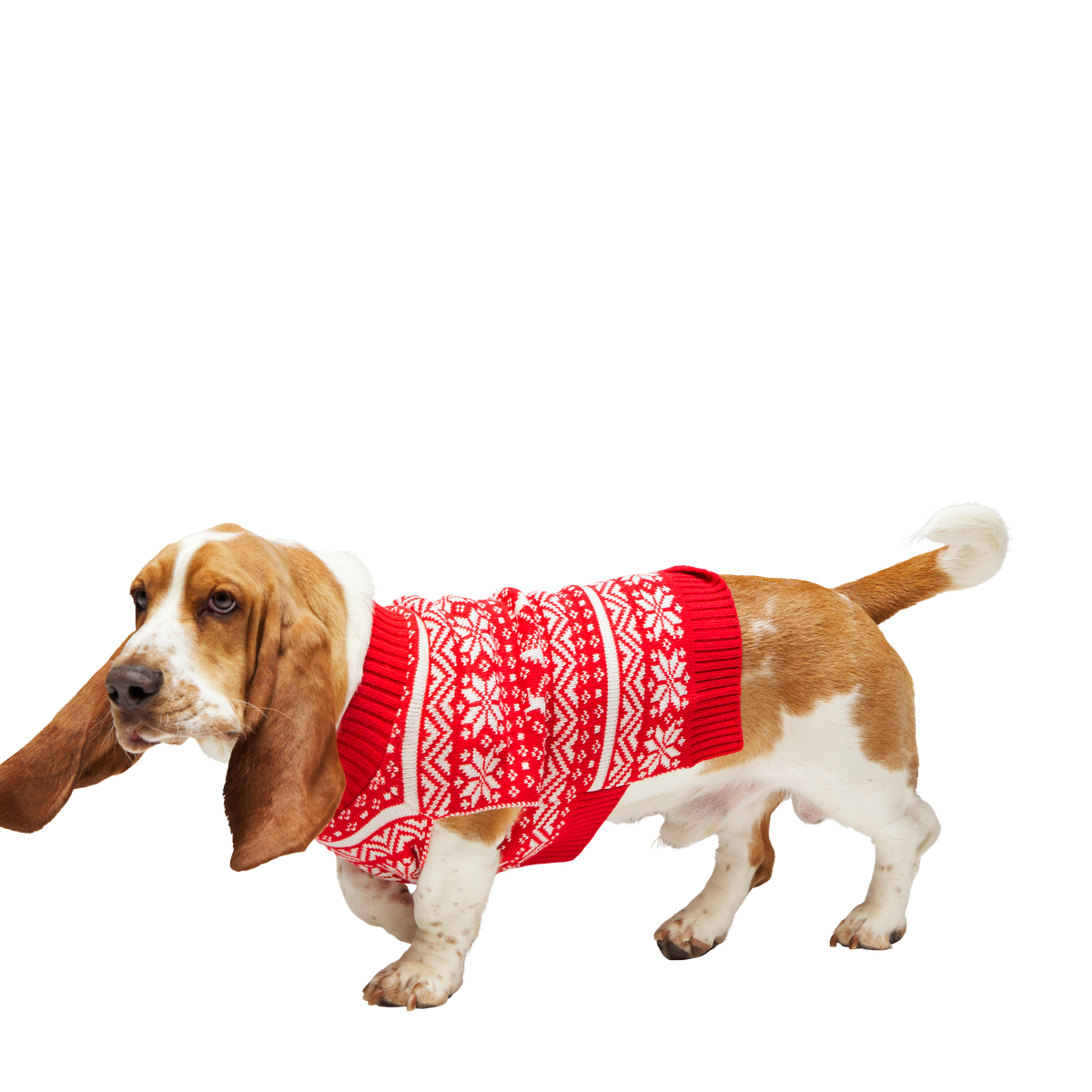 HOME-ATB_211121_REINDEER-SWEATER-L_2623_cropped#Size_M