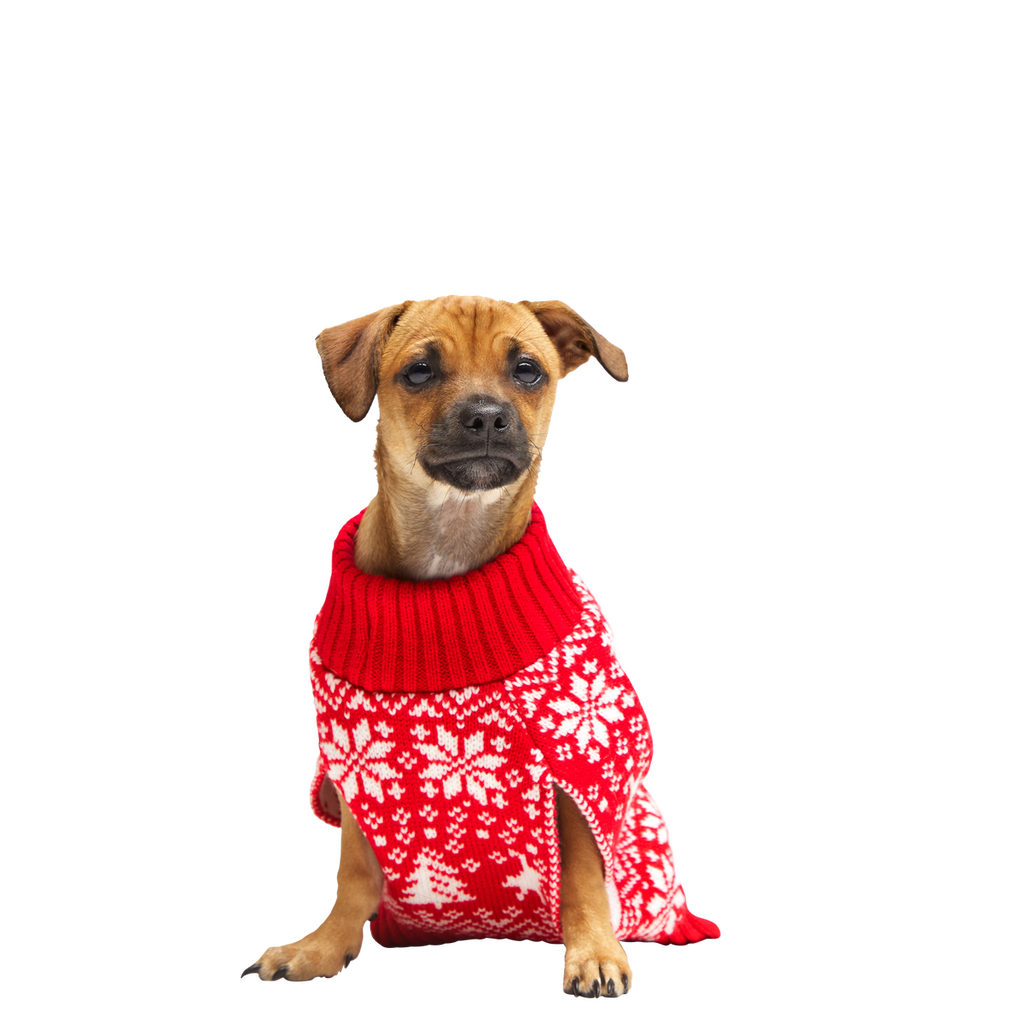 Holiday Sweater Wearable For Dogs – BARK
