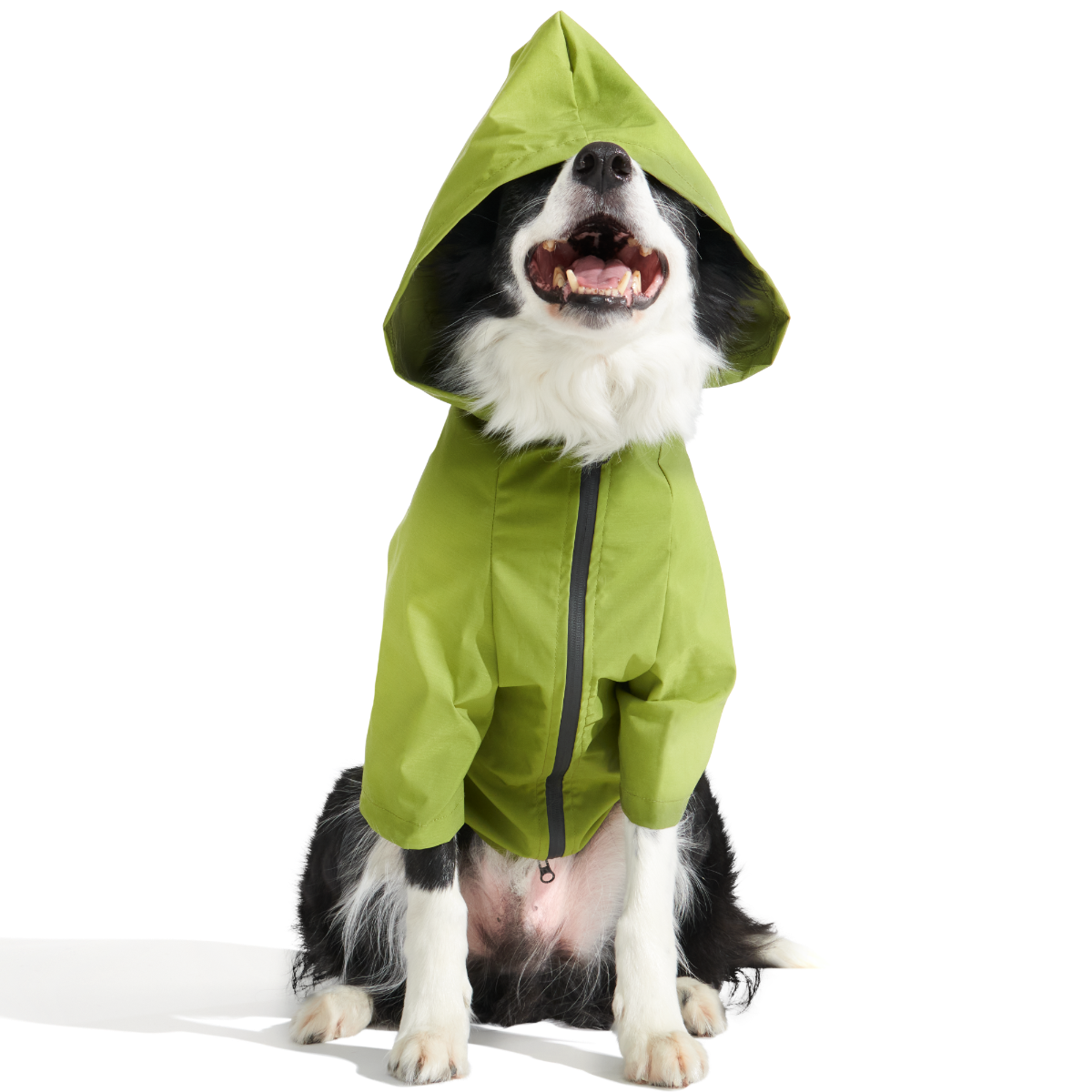 The Dry Dog Raincoat