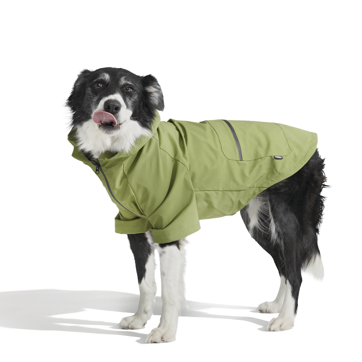 The Dry Dog Raincoat