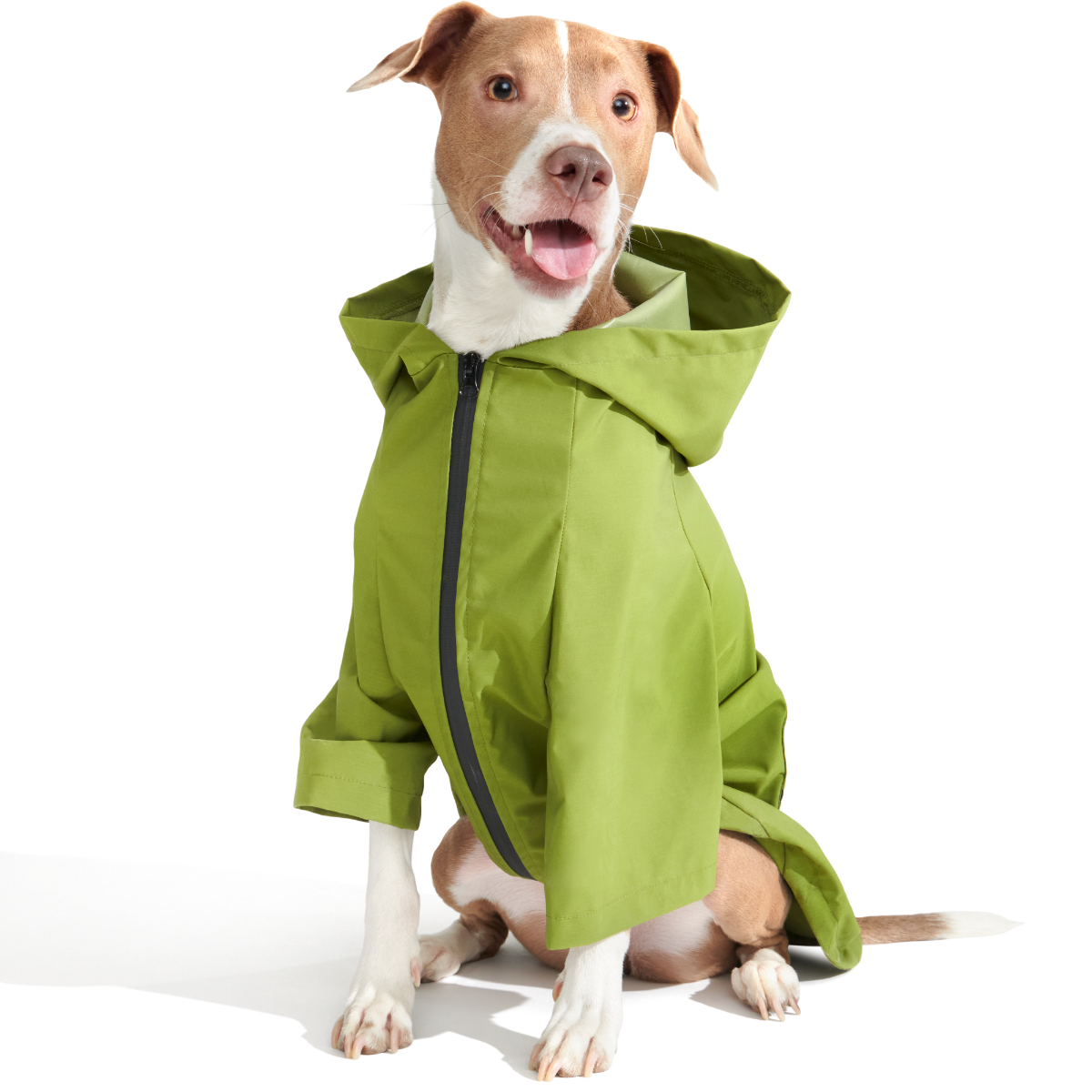 The Dry Dog Raincoat