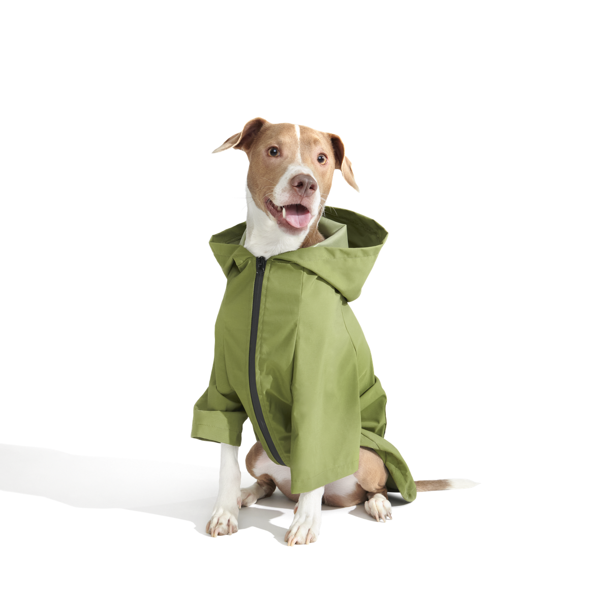 The Dry Dog Raincoat
