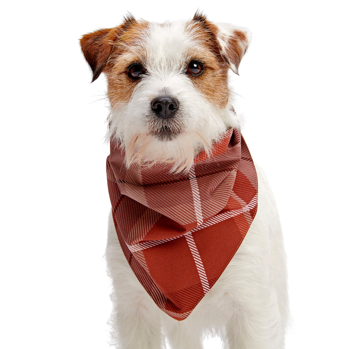 Fall Reversible Dog Bandana