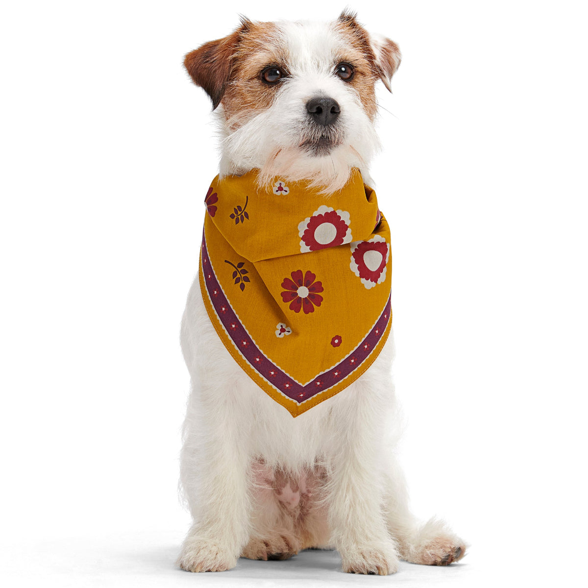 Fall Reversible Dog Bandana