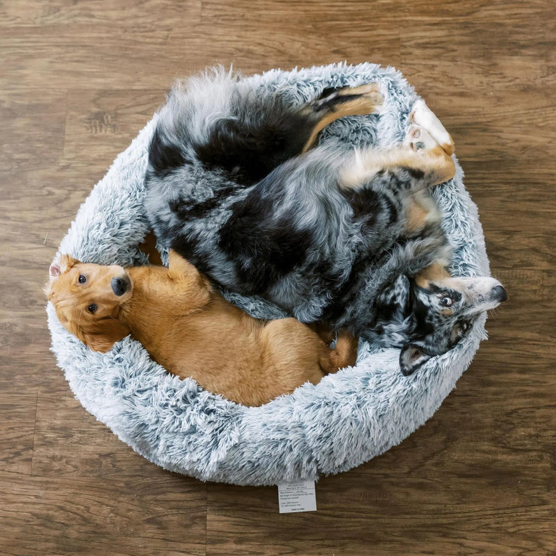 Dog Joy  Delivered  Every Month