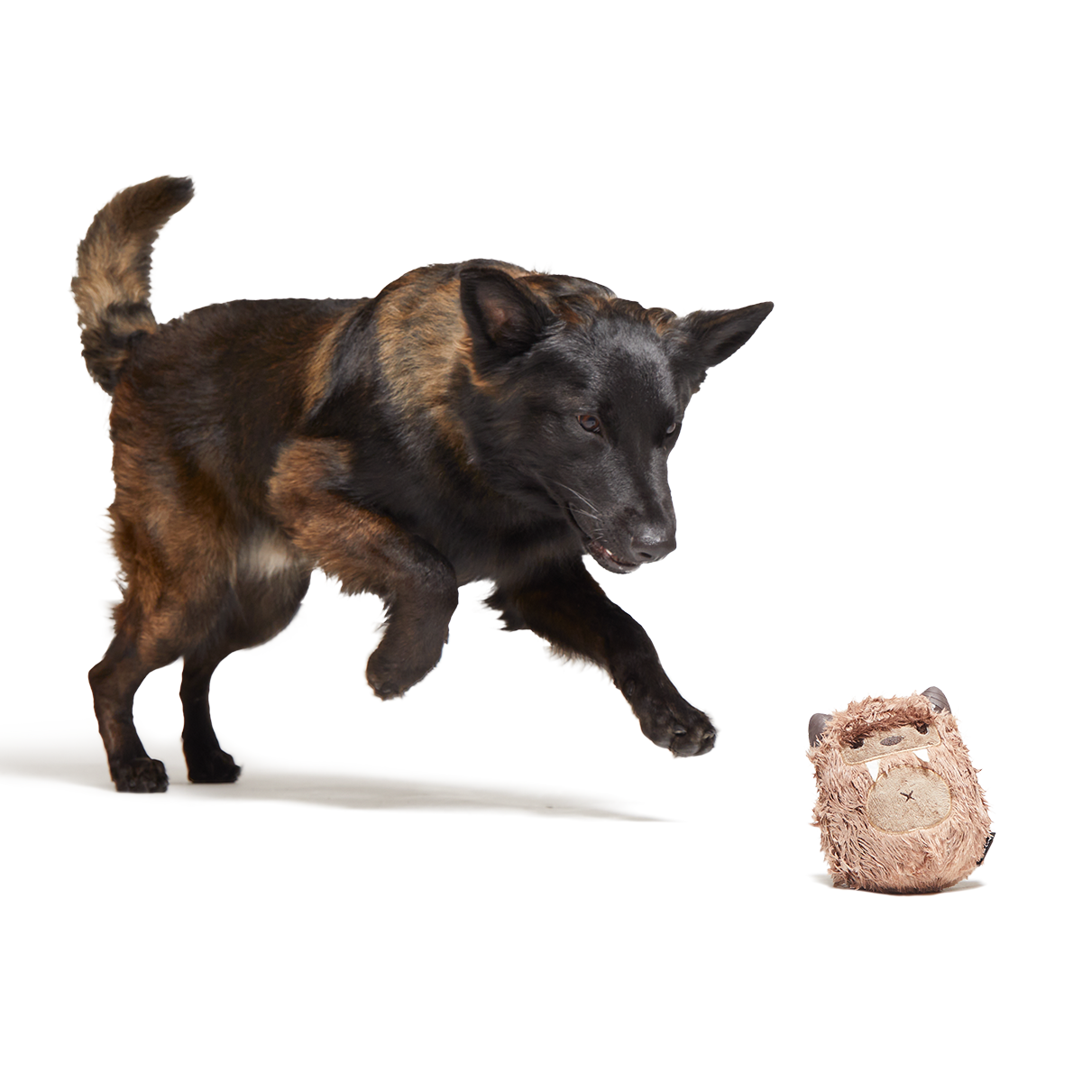 Hairwolf Super Chewer Durable 2-in-1 + Enrichment Dog Toy