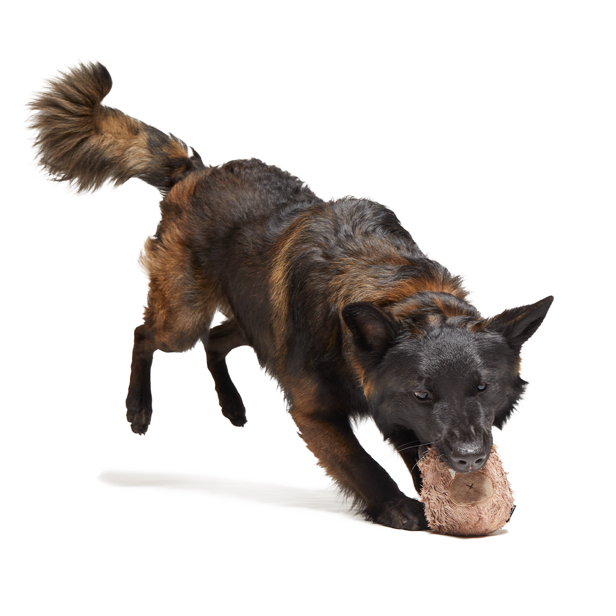 Hairwolf Super Chewer Durable 2-in-1 + Enrichment Dog Toy