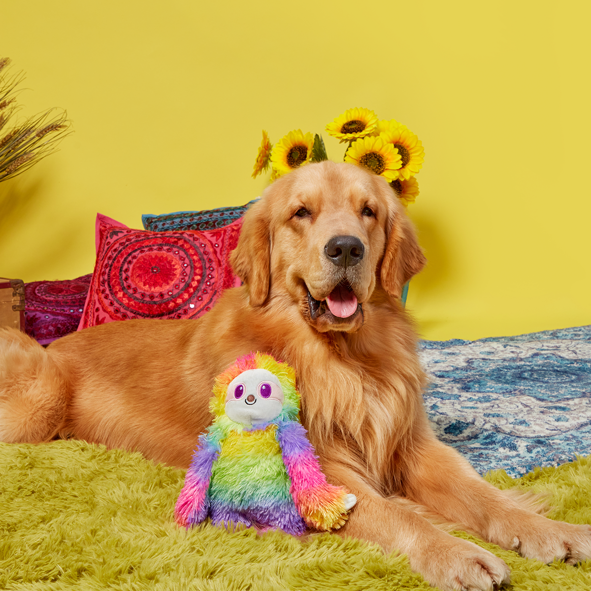 Hairy Garcia Plush Tug Dog Toy