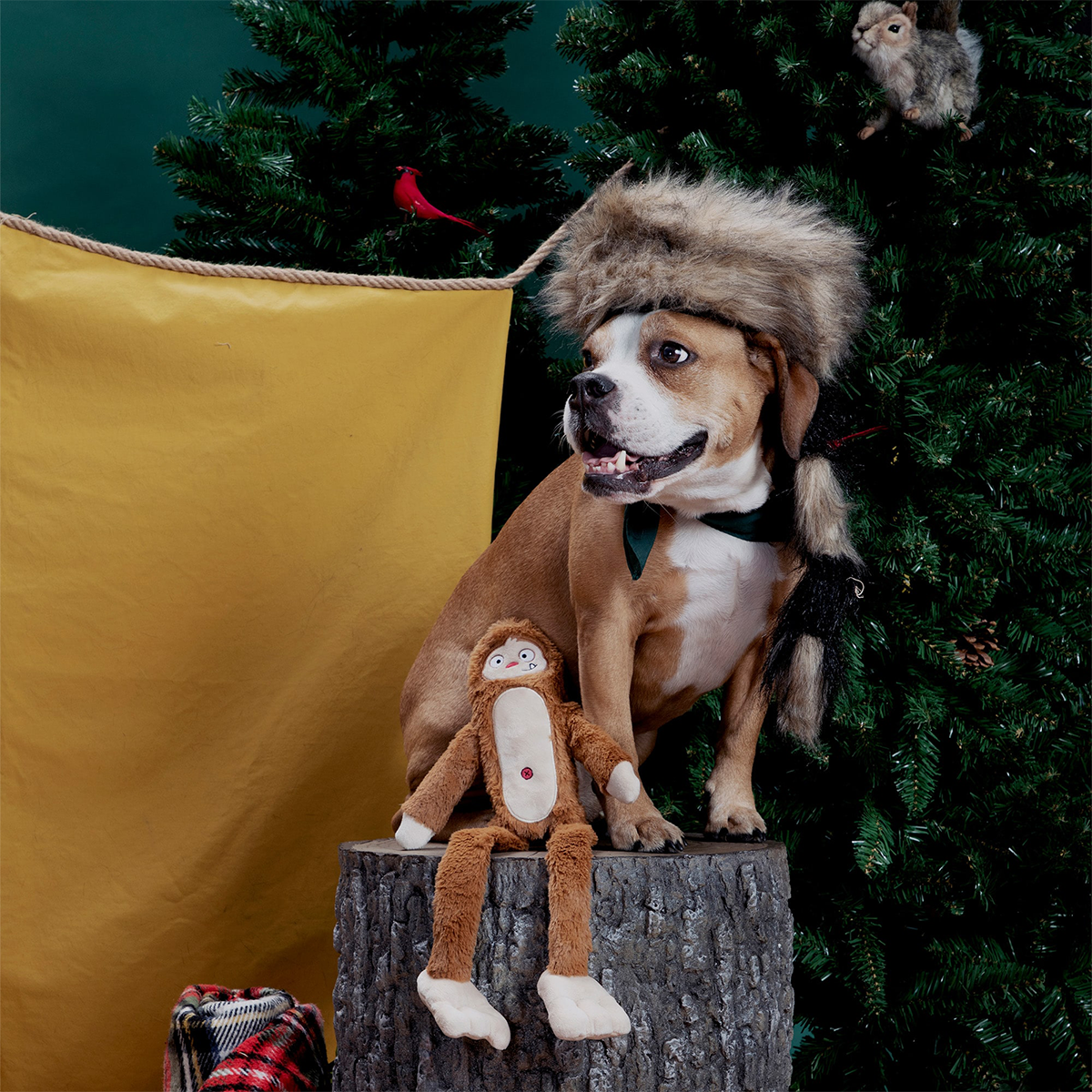 Hairy Henderson Plush Tug + Extra-Large Dog Toy